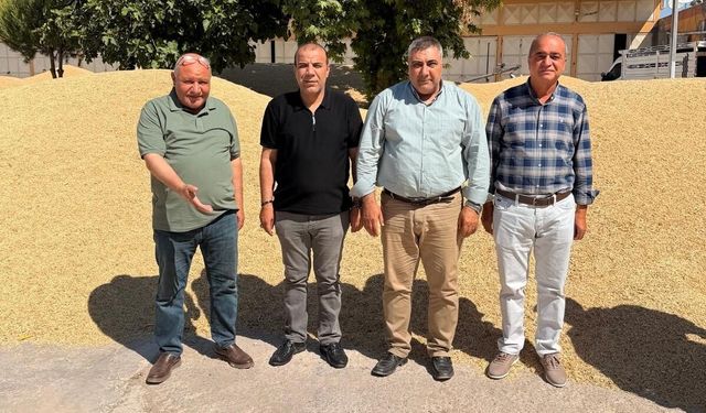 Şanlıurfa’da Hububat Krizi! Çiftçinin Gözü Ankara’da