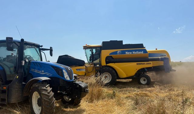 Buğday ve Arpa Piyasasında Sürpriz! Şanlıurfa’da Rakamlar Değişti