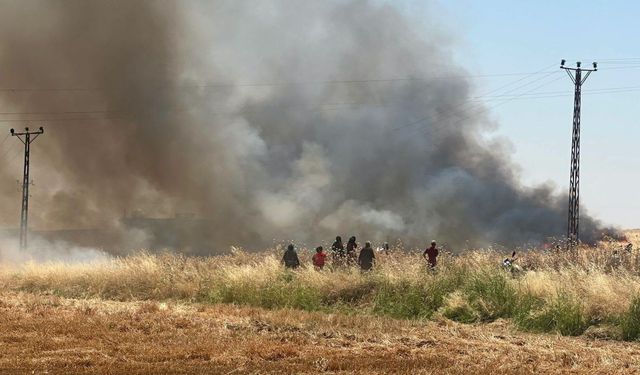 Şanlıurfa’da Rüzgarla Büyüyen Yangın: Onlarca Dönüm Zarar Gördü