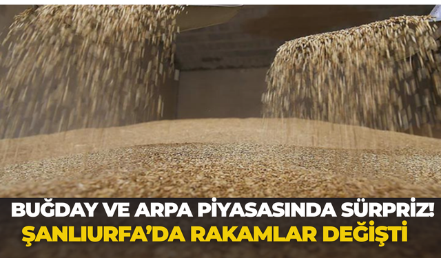 Buğday ve Arpa Piyasasında Sürpriz! Şanlıurfa’da Rakamlar Değişti