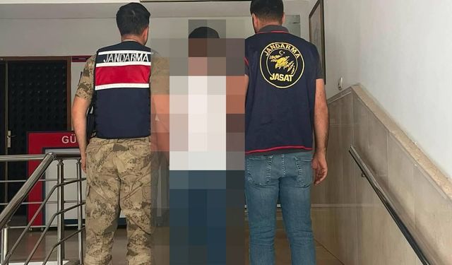 Şanlıurfa Jandarma’dan Nokta Operasyon: Yakalandılar