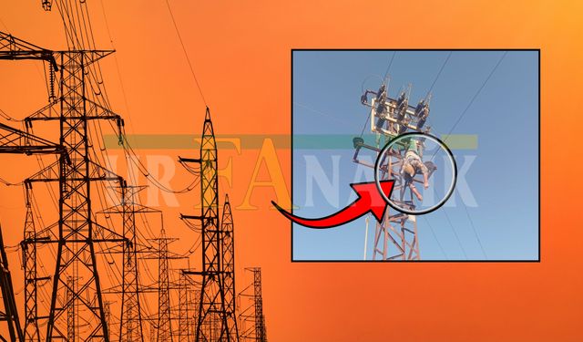 Akçakale'de Korkutan Olay: Akıma Kapılıp Elektrik Direğinde Asılı Kaldı!
