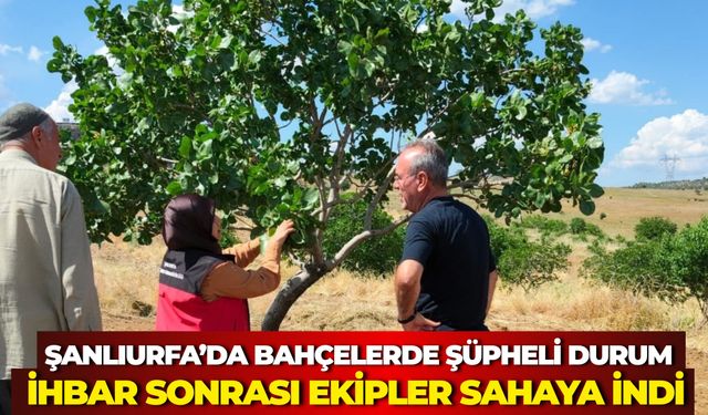 Alo Ziraat Doktorum Ekipleri Siverek’te Bahçelerde İnceleme Yaptı
