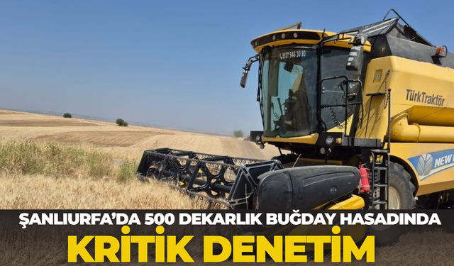 Şanlıurfa’da 500 Dekarlık Buğday Hasadında Kritik Denetim