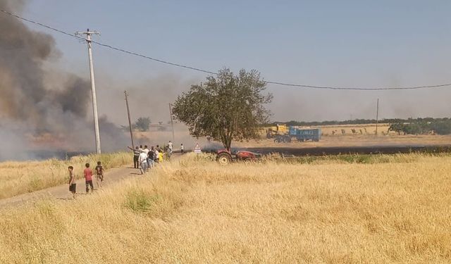 Şanlıurfa Bozova’da Buğday Tarlasında Yangın Paniği
