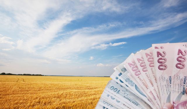TMO 2026 Yılı Hububat Alım ve Satış Fiyatlarını Açıkladı