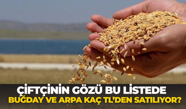 Çiftçinin Gözü Bu Listede: Buğday ve Arpa Kaç TL’den Satılıyor?