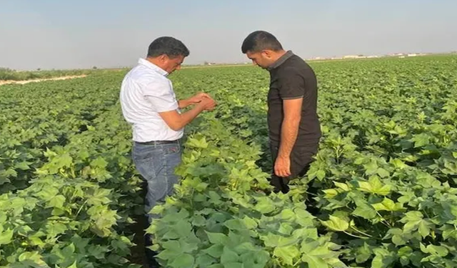 Şanlıurfa’da Üreticiyi İlgilendiren Kritik Uyarı: Herkesin Bilmesi Gerekiyor