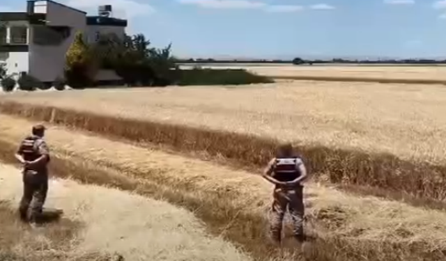 Şanlıurfa’da Tarlalara Sıkı Takip! Jandarma Alarmda