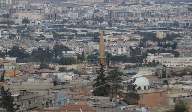 Ceylanpınar’da 4 Bin 500 Ton Buğday İhaleyle Satışa Çıktı