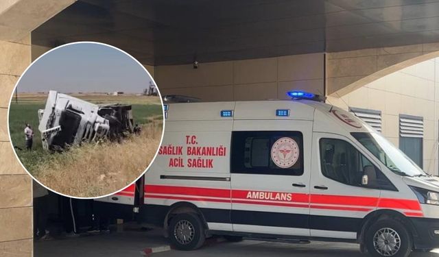 Şanlıurfa Ceylanpınar’da Tır Şarampole Devrildi: 1 Yaralı