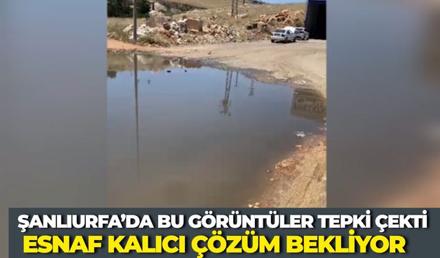 Eyyübiye Evren Sanayi Sitesi'nde Altyapı Çilesi: Taşan Sular Esnafı Mağdur Ediyor