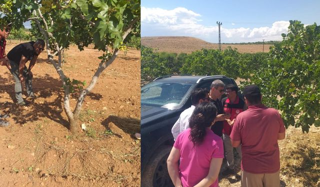 Hilvan’da Dolu ve Fırtına Sonrası Kritik İnceleme: Hikmet İpar Sahada