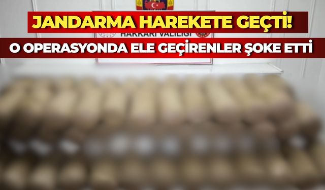 Hakkari'de 503 Kilogram Esrar Ele Geçirildi: 1 Şüpheli Gözaltında