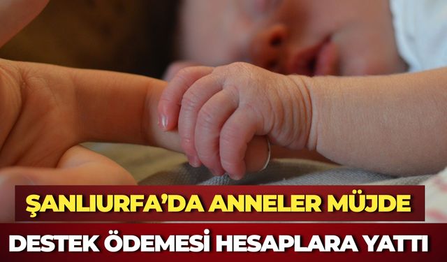 Haziran Ayı Doğum Yardımı Ödemeleri Tamamlandı: Milyonlarca Anneye Milyarlarca Liralık Destek
