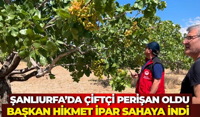 Hilvan’da Dolu ve Fırtına Sonrası Kritik İnceleme: Hikmet İpar Sahada
