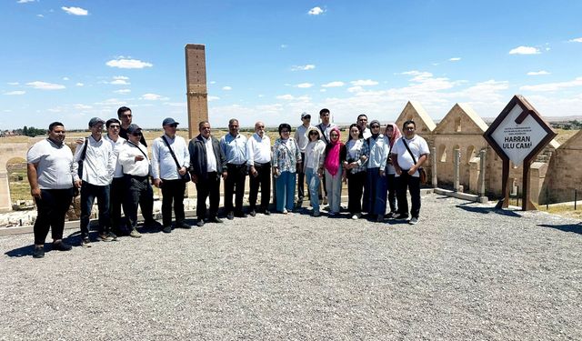 Tarihin Kalbinde Akademik Buluşma: Genç Tarihçiler Harran’ı Keşfetti