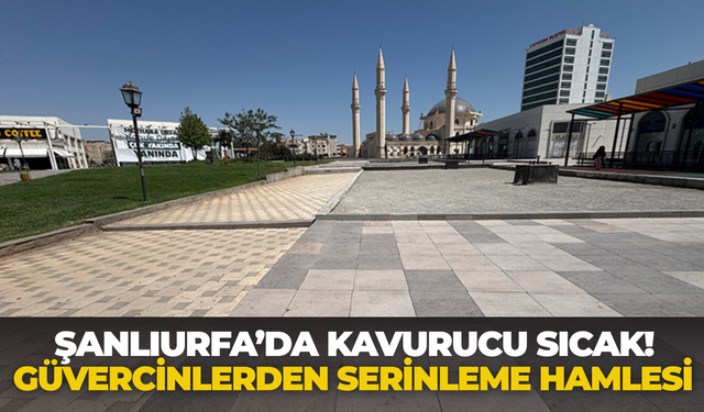 Şanlıurfa’da Kavurucu Sıcak! Güvercinlerden Serinleme Hamlesi