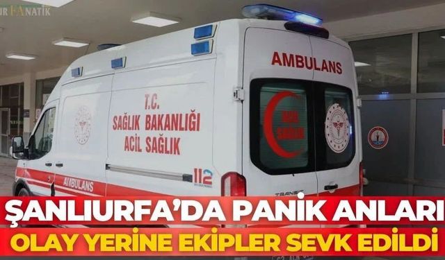 Şanlıurfa Haliliye'de İki Otomobil Çarpıştı: 1 Yaralı