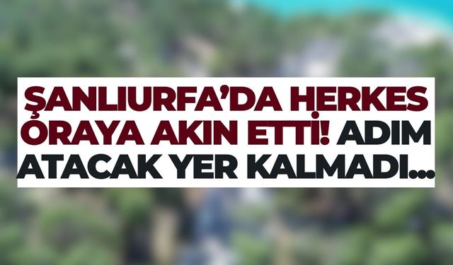 Şanlıurfa Çatak Mesire Alanı Dolup Taştı