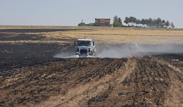 Şanlıurfa Ceylanpınar’da Arazi Yangını