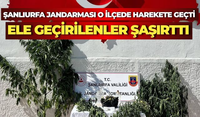 Şanlıurfa Jandarmasından Hilvan İlçesinde Operasyon