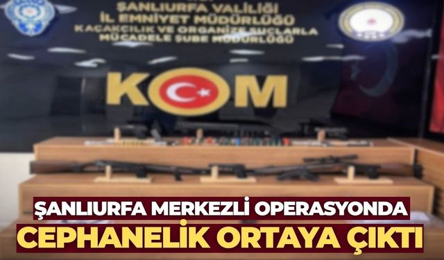 Şanlıurfa Merkezli 4 İlde Silahlı Suç Örgütü Operasyonu
