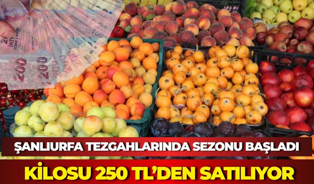 Şanlıurfa Tezgahlarında Siyah Üzüm Sezonu Başladı: Kilosu 250 TL’den Satılıyor