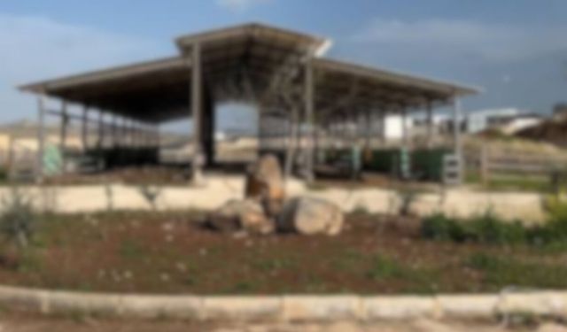 Şanlıurfa’da 20 Dönümlük Tavuk Çiftliği İcradan Satışta