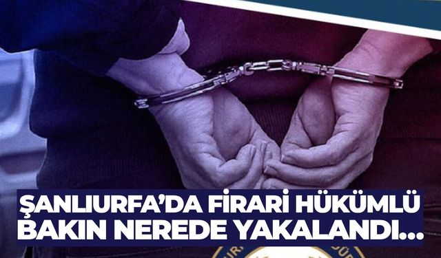 Şanlıurfa’da 20 Yıl Hapis Cezası Bulunan Firari Yakalandı