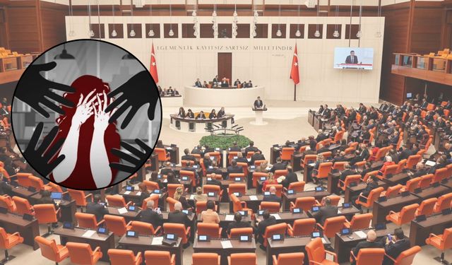 Şanlıurfa’da 21 Yaşındaki Genç Kadının Kaçırılıp Taciz Edildiği İddiası TBMM’de Gündem Oldu