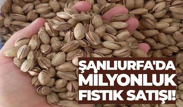 Şanlıurfa'da 65 Ton Kuru Fıstık Satışa Çıkıyor!