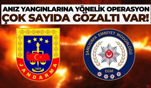 Şanlıurfa'da Anız Yangınlarına Yönelik Operasyon: Çok Sayıda Gözaltı Var