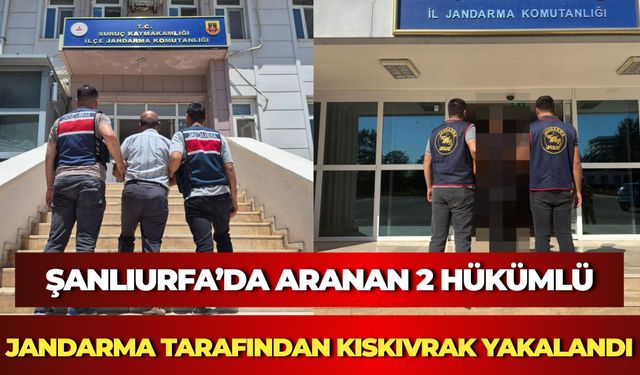 Şanlıurfa’da Aranan 2 Hükümlü Jandarma Tarafından Kıskıvrak Yakalandı