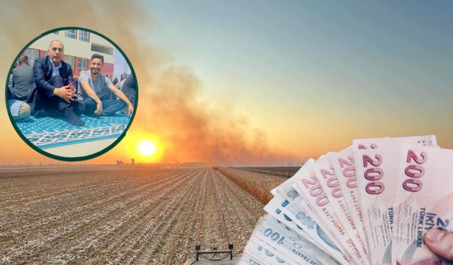 Şanlıurfa’da Arpa ve Buğday Üreticisi Taban Fiyat Bekliyor