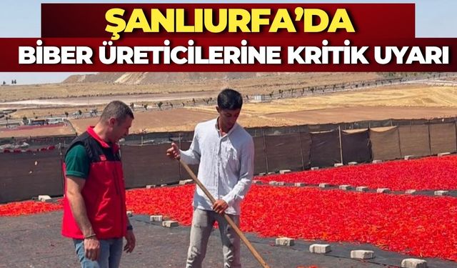Şanlıurfa’da Biber Sezonu Öncesi Ekipler Sahaya İndi
