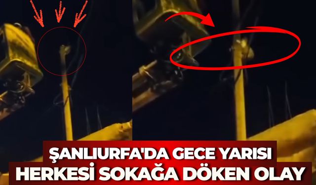 Şanlıurfa'da Gece Yarısı Herkesi Sokağa Döken Olay: Ekipler Seferber Oldu