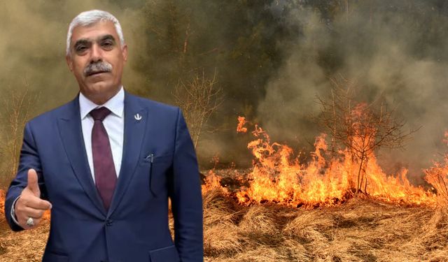 Şanlıurfa Çiftçisi İçin En Kritik 10 Gün Başladı: Hasat Döneminde Felaketi Önleyecek Acil Çağrı