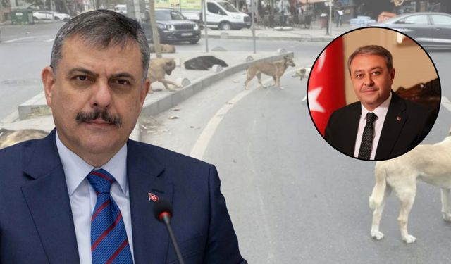 Şanlıurfa, Türkiye’ye Örnek Olan İller Arasına Girdi