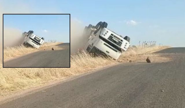 Şanlıurfa’da Tonlarca Buğday Bir Anda Yola Saçıldı!
