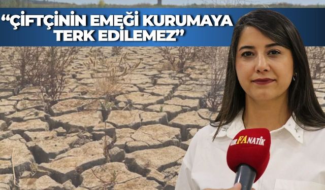 Şanlıurfa’daki Su Kesintisi Tepkisi Büyüyor