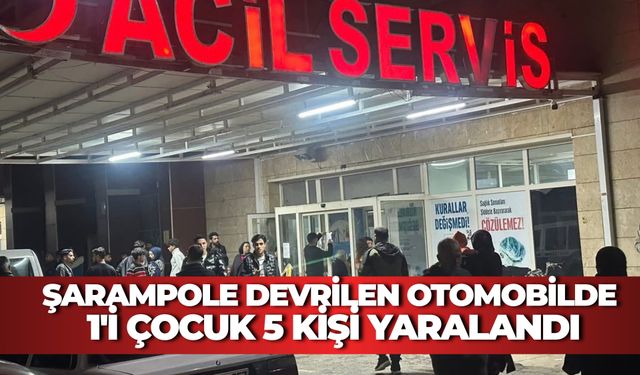 Akçakale'de Şarampole Devrilen Otomobilde 1'i Çocuk 5 Kişi Yaralandı
