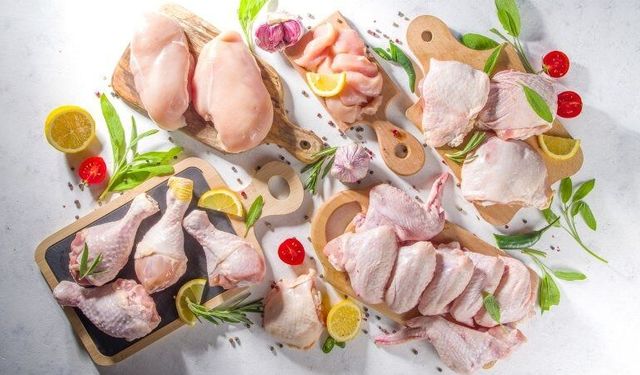 Şenpiliç Markası Kimin? Şenpiliç'in Kurucusu Haşim Gürdamar Kimdir, Aslen Nereli ve Eğitimi Ne?
