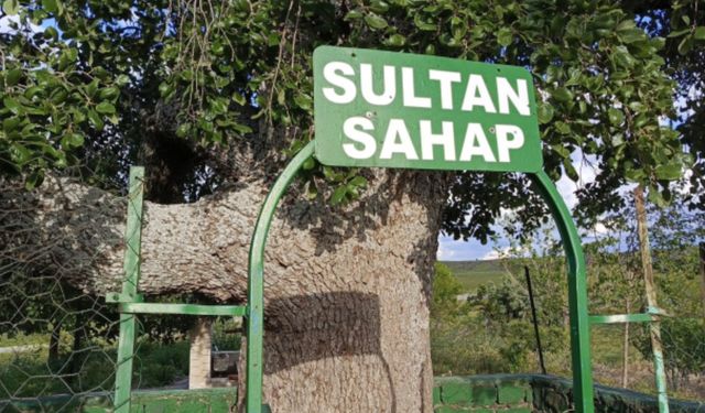 Siverek'in Esrarengiz Ziyaretgahı: Dileği Olan Oraya Gidiyor