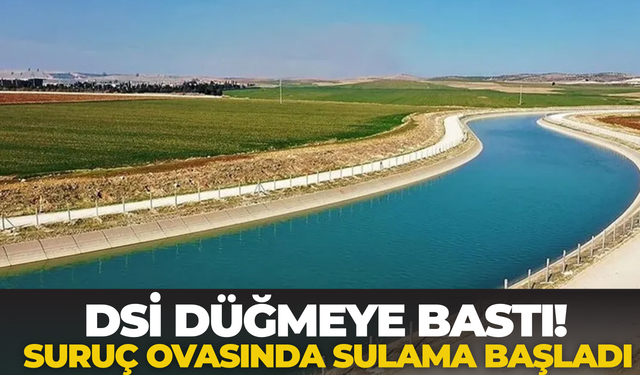 DSİ Düğmeye Bastı! Suruç Ovasında Sulama Başladı