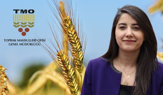 TMO’nun Alım Fiyatlarına Şanlıurfa Milletvekili Dilan Kunt Ayan’dan Sert Tepki