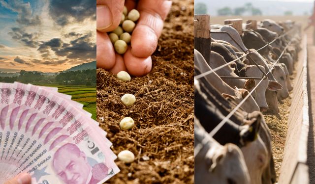 Bakan Yumaklı Duyurdu: 165 Milyon TL Tarımsal Destek Hesaplara Aktarılıyor