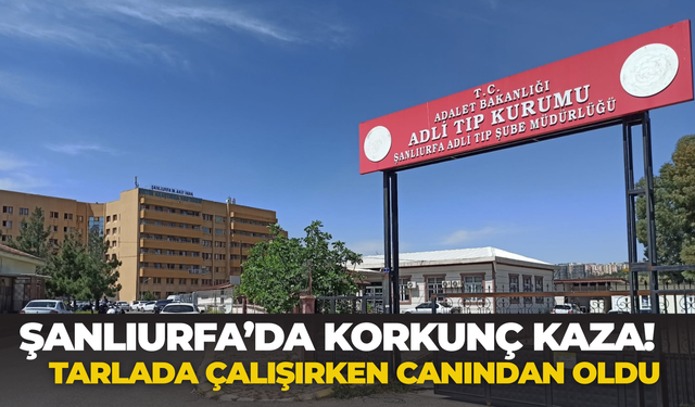 Şanlıurfa’da Korkunç Kaza! Tarlada Çalışırken Canından Oldu