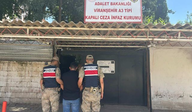 Şanlıurfa'da Yağma Suçundan Aranan Hükümlü Jandarmadan Kaçamadı