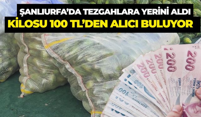Viranşehir'de Şelengo Tezgahlara İndi: Kilosu 100 TL’den Alıcı Buluyor
